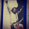 Arms Raised (Chris Cornell) - Image 7