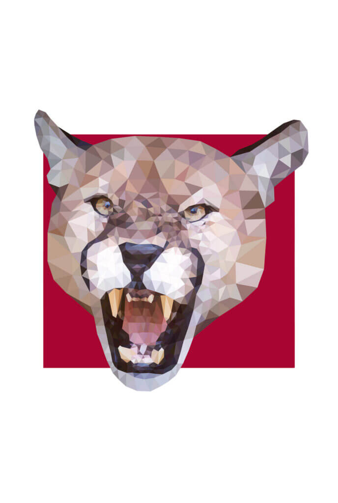 Go Cougs pencil artwork by Keegan Hall