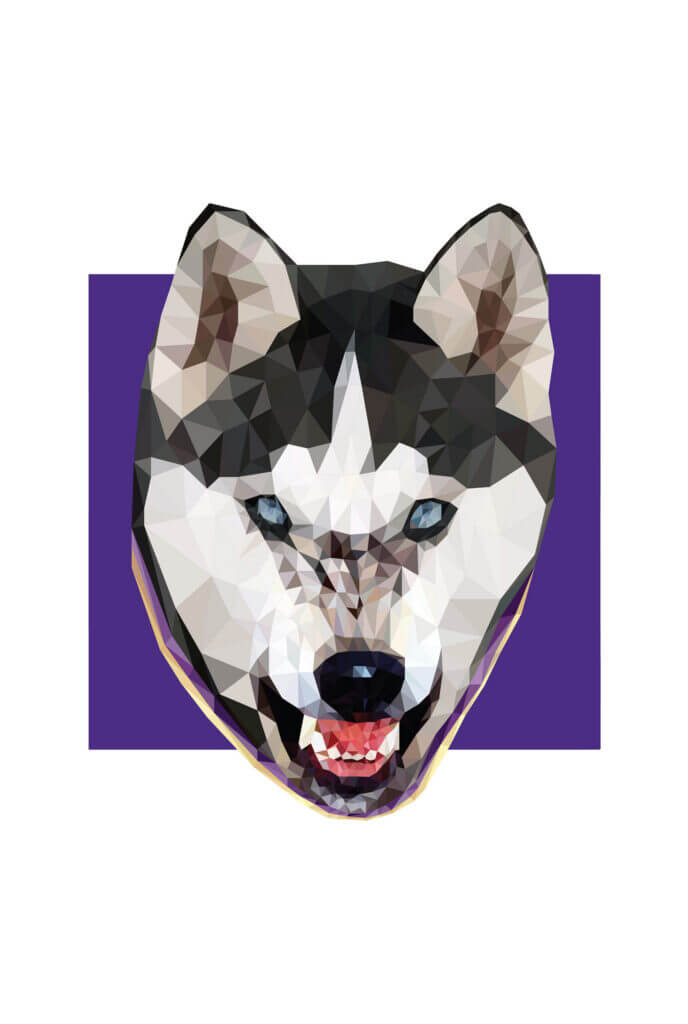 Go Huskies pencil artwork by Keegan Hall