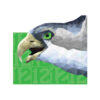 Go Hawks pencil artwork by Keegan Hall